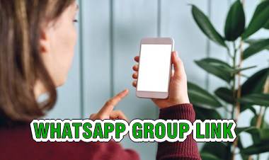 Grupo whatsapp blitz salvador link grupos de mais contatos grupos de joinville