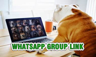 Whatsapp group link video songs - only girl - whatsaupgrouplink.com - quran