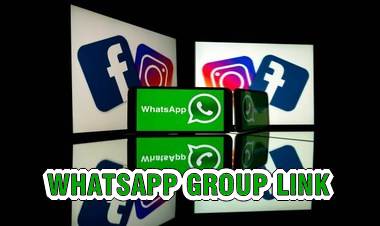 Whatsapp secret groups - furry groups