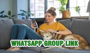 Link grupo de whatsapp notícias 24 horas feira de santana bahia link de grupo de vídeos para status grupos de 1d